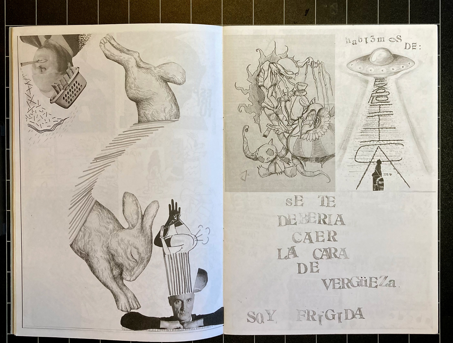 Bigardo_3_5